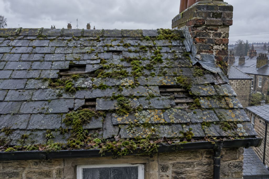 Before: a slate roof with gaps from slipped slates, thick moss, loose chimney flashing and a blocked gutter